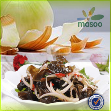 wholesale china origin onion cold storage for fresh yellow onion exporters