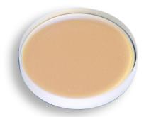 10045746 Lower protective lens 36*5