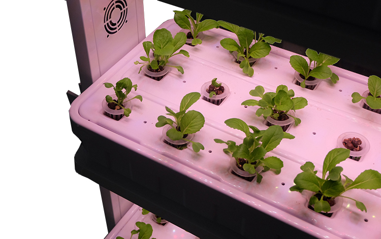 Indoor Hydroponic Lighting Growing Gardening Systems