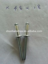 Direct Factory Stock of Blind Rivet /Aluminum Rivet/POP Rivet