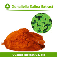 Polvo de caroteno de extracto de Natrual Dunaliella Salina 1%