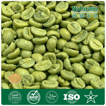 Pure Natural Green Coffee Bean Powder