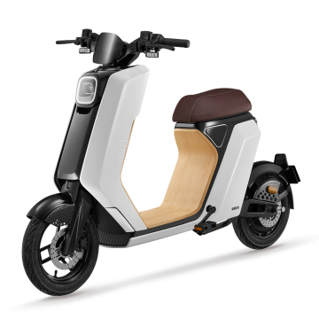 Adult Electric Motorcycle: Fashion Style E-Bike Scooter Appearance