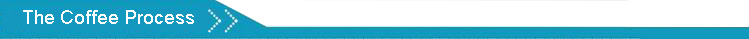 Portable travel camp 12v Car Coffee maker espresso car coffee maker 24v car coffee maker