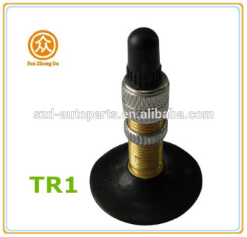 TR1 Bike Tire Valve