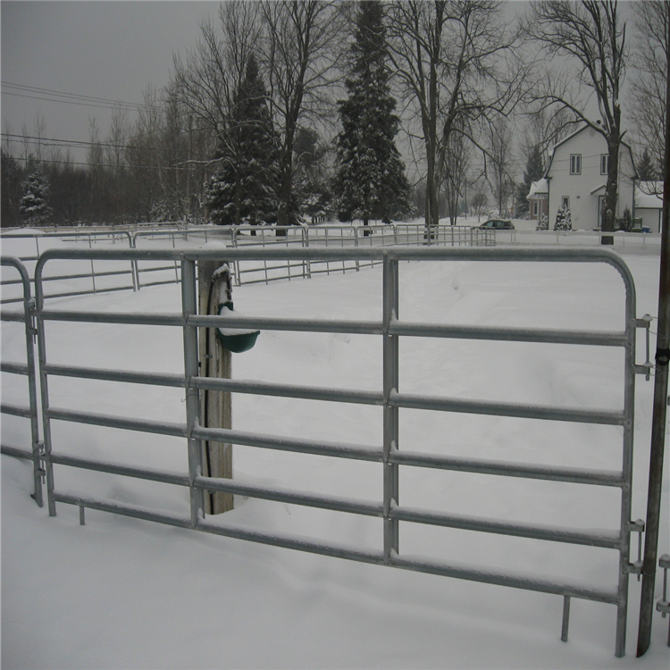 horse fence011