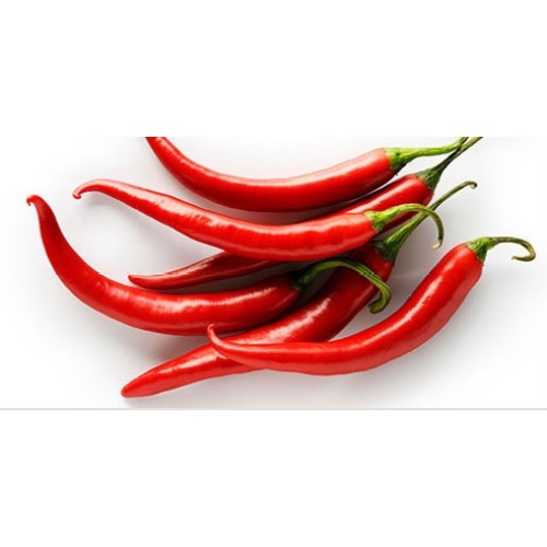 Chaotian Chili 4-7cm 10kg