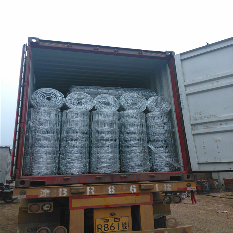 high tension galvanized cattle fencing roll per price