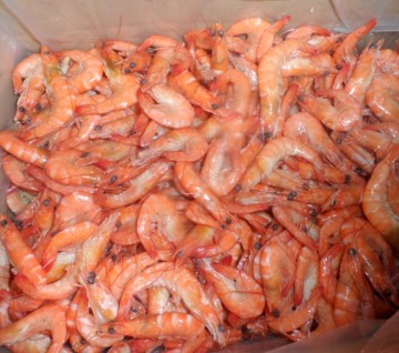 Frozen vannamei shrimp CHOSO
