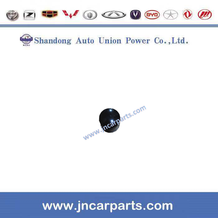 Greatwall Auto Spare Parts