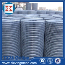 Galvanized Steel Welded Mesh