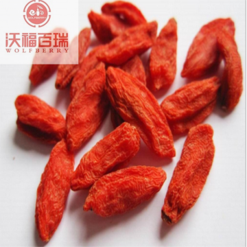 Goji berry/ organic goji berries /Dried goji berries