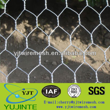 cheep hexagonal wire mesh (SGS)