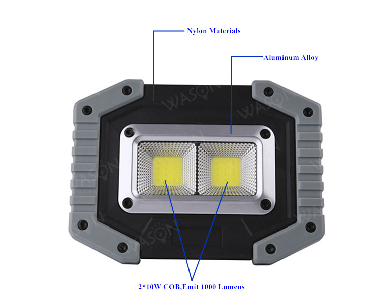 COB Flood Light 