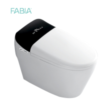 High Tech Automatic Smart Toilet Bowl