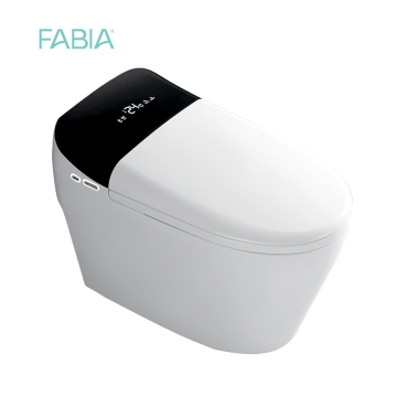 High Tech Automatic Smart Toilet Bowl