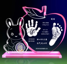 3D Argus Laser Engraving Crystal Baby Born Souvenir