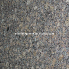 Shell brown granite big slab,exotic granite slabs