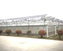 Solar Greenhouse Agrophotovoltaics: Solar Mounting Structure for Farmland