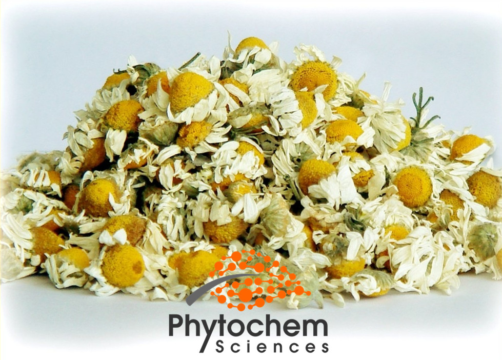 Pure chamomile flowers treat skin inflammation extract powder