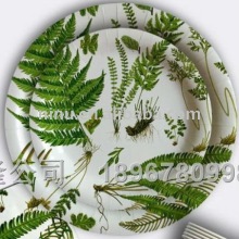 YLPP1106_09 disposable plate,paper plate design
