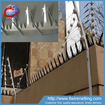 High quality hot dip galvanized wall spikes,bird barrier wall spikes