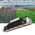 Led Grow Light Linear per la piantagione dell&#39;interno della serra