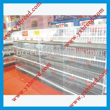 broiler breeder cages