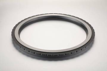 Graphite Sealing Ring for Dry Gas Sealing System
