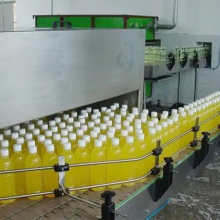 Full Automatic Pineapple Juice Production Line