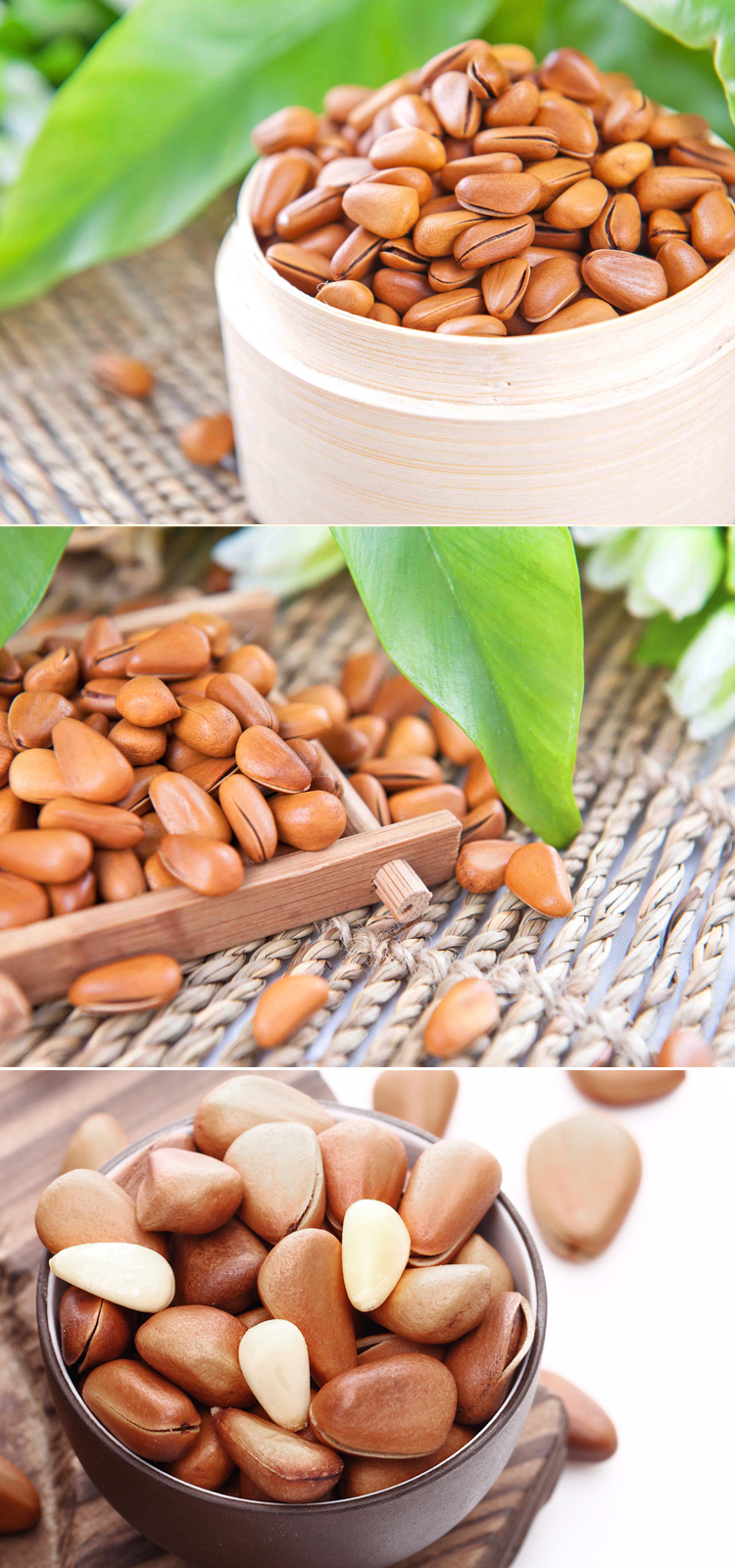 china origin appropriate prices specification pine nuts