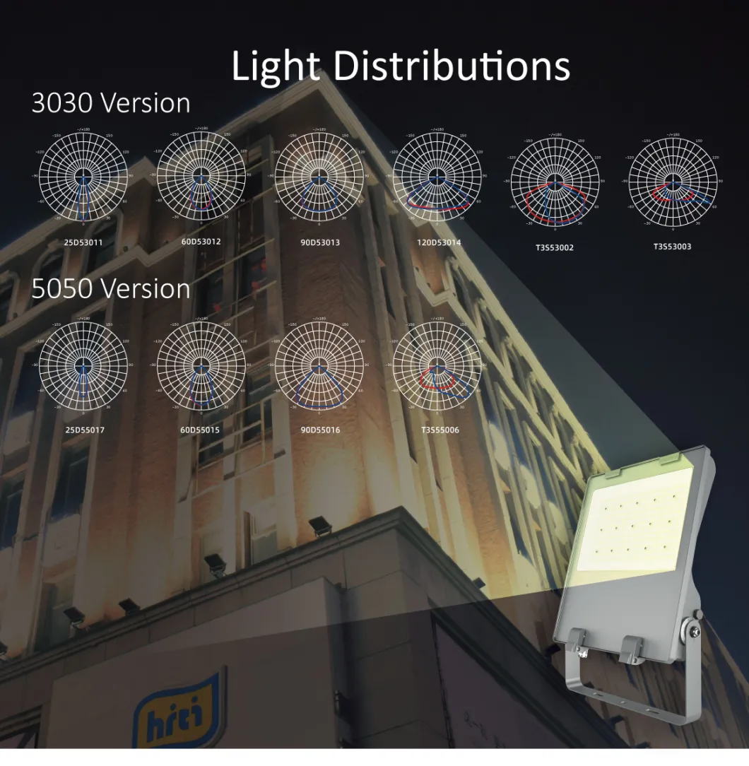2021 New Design Flood Light LED 200W Adjustable Floodlight IP09 CE CB ENEC RoHS Approval
