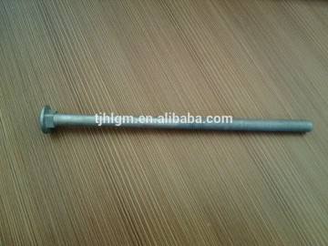 Carriage bolt (screw)