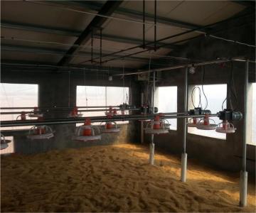 Pan feeding system(Breeder tray feeding)