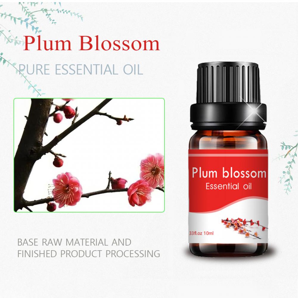 10ml nembo ya kawaida ya matibabu ya kiwango cha plum blossom