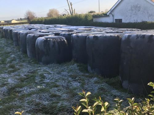 Black Silage Stretch Film met 750 mm