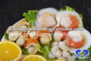 frozen scallop meat with roe and frill,IQF