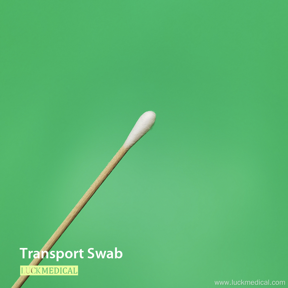 Transport Swab Wooden Stick Cotton Tip FDA