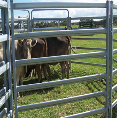 Galvanized Wire Mesh Cattle Fence for Horse