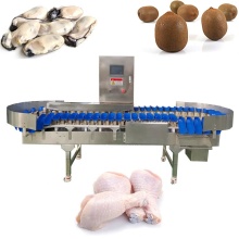 Kiwi Fruit and Vegetable Weight Sorting Grading Machines