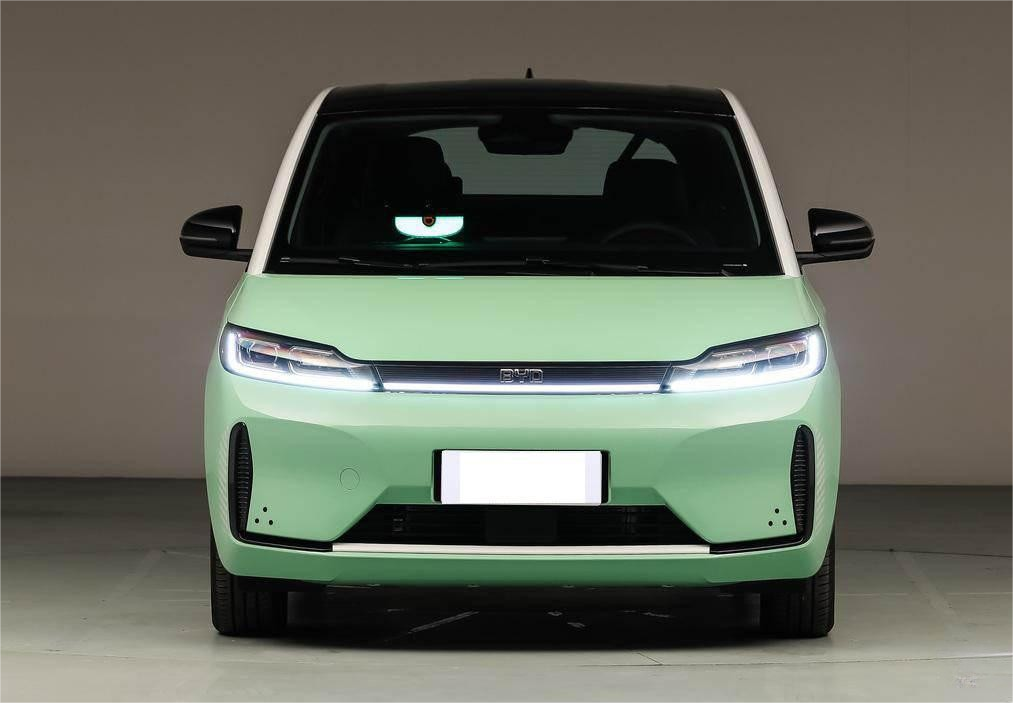 Byd D1 Pure Electric 2022 Official Standard 418KM MPV 5 Seats