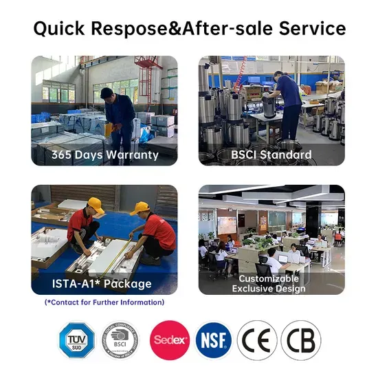 Double Plate Electric Sandwich Panini Kamado Contact Grill Griddle