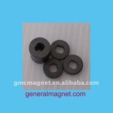 6-pole injection ferrite magnet