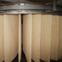 Automatic High Quality Noodle Machine: New Design 700 Stick Noodle Production Line