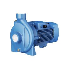 Purity Monoblock Surface Water Pump