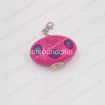 Voice Keychain, beschreibbare Schlüsselanhänger, Key Finder, Sound Keychain