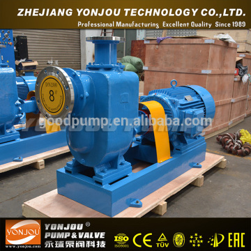 ZW sewage pump