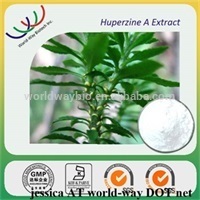 huperzine a powder,Free sample GMP herb extract manufacturer high quality huperzia serrata extract huperzine a powder