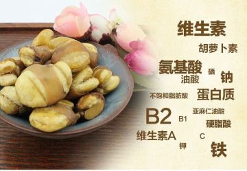 Favorites Crunchy china high qualiy broad beans