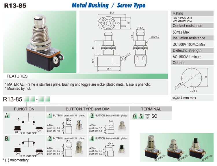 Automotive Push Button Switches